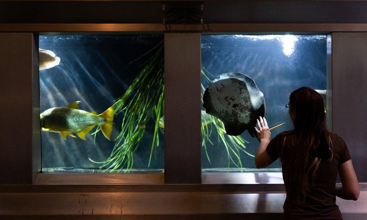 Woman looking at fish tank